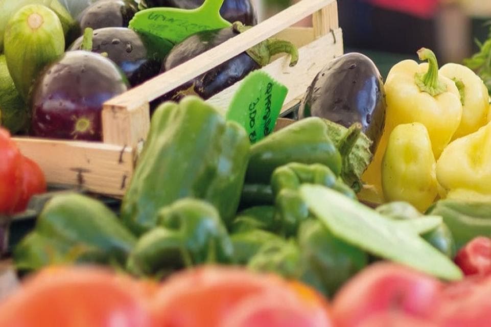Event: Hof Market in Maxplatz, 95028 Hof on 7/19/2025